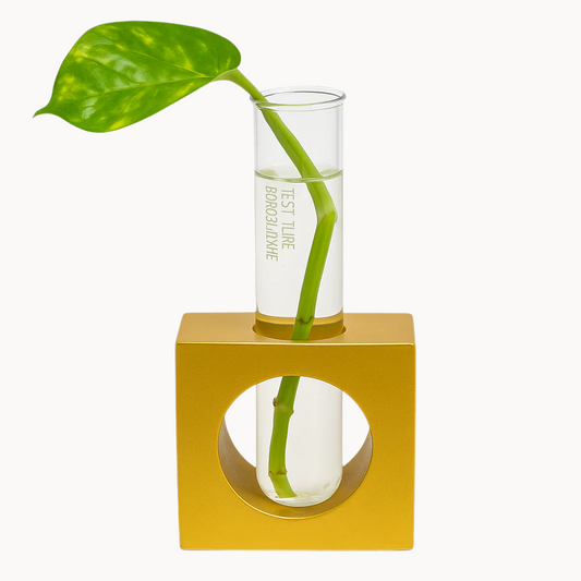 Test Tube Planter